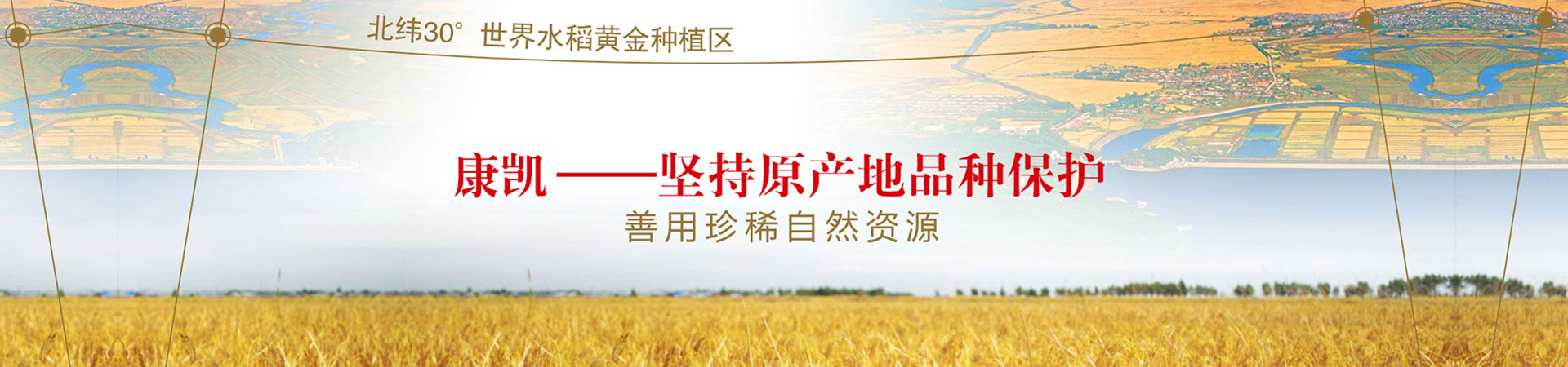 //ymrdp.cn/data/upload/202001/20200115103546_489.jpg