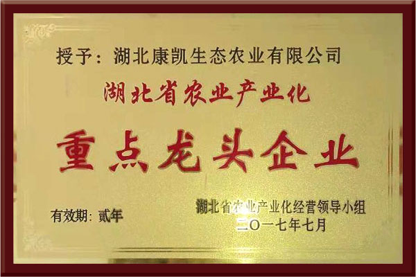 省重點龍頭企業