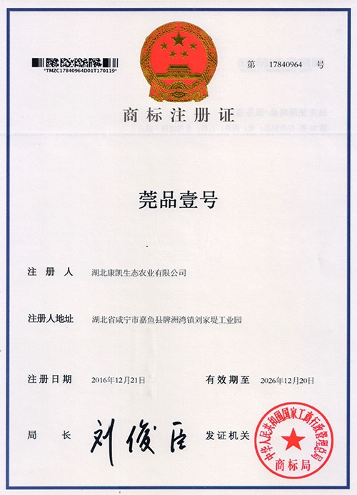 莞品壹號商標注冊證