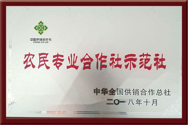 農民專業合作社示范社