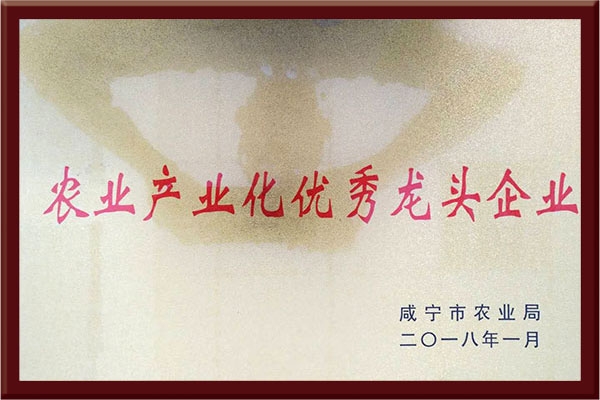 農業產業化優秀龍頭企業