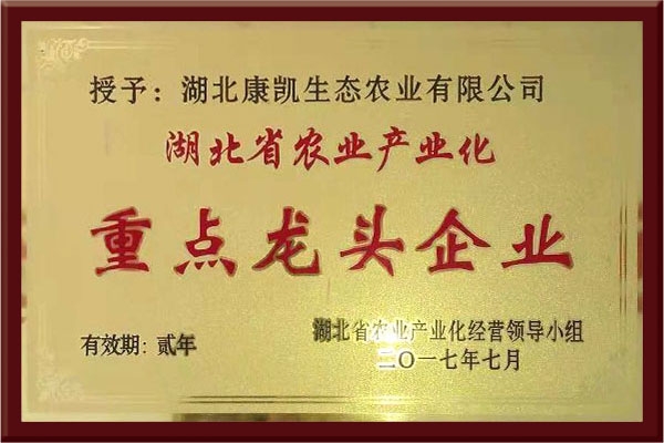 省重點龍頭企業